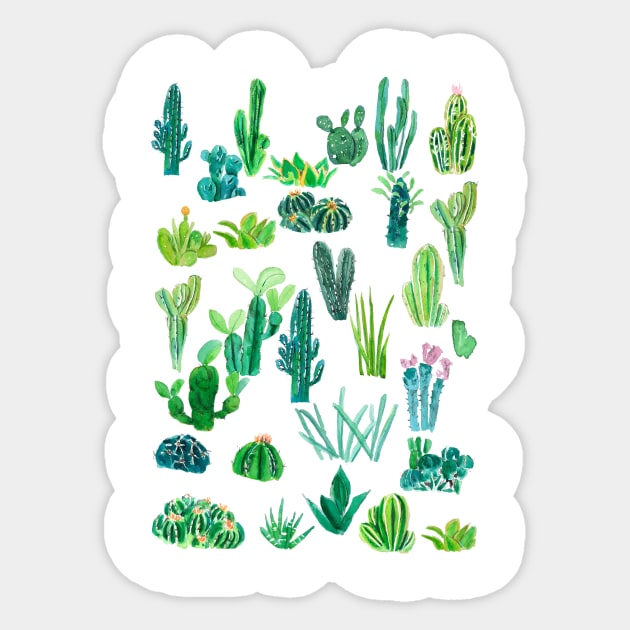 botanical cactus collection painting Sticker by colorandcolor